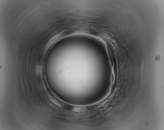 X0000091450051200708161306