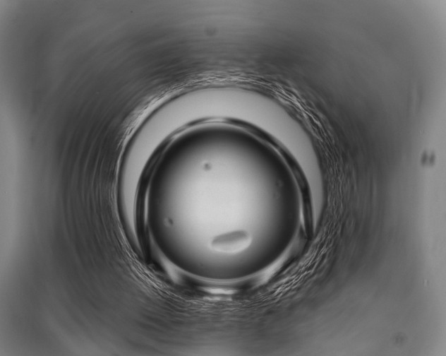X0000091450052200708161306