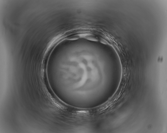 X0000091450053200708161306