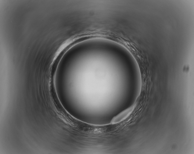 X0000091450056200708161306