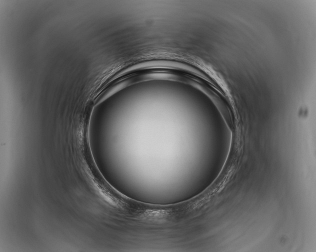 X0000091450057200708161306