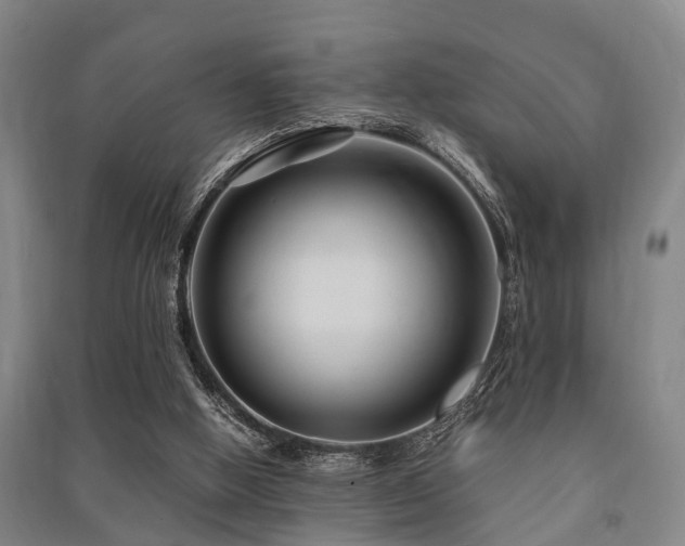 X0000091450058200708161306