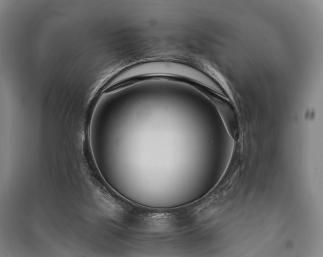 X0000091450059200708161306