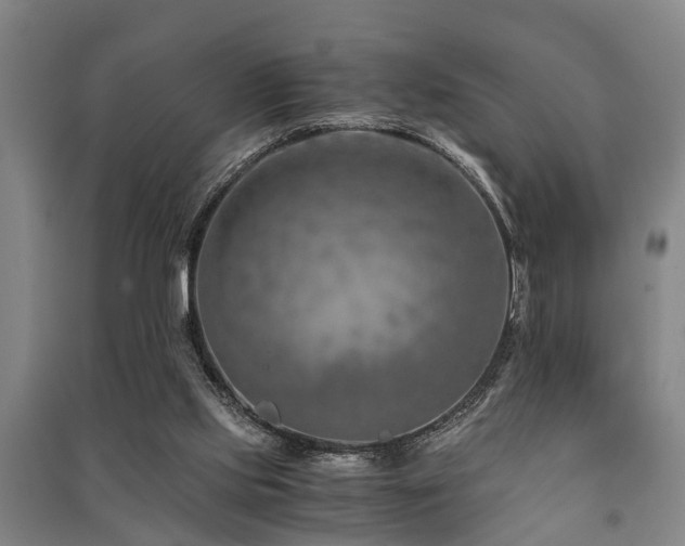 X0000091450061200708161306