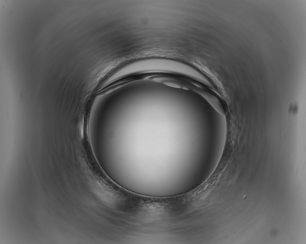 X0000091450062200708161306