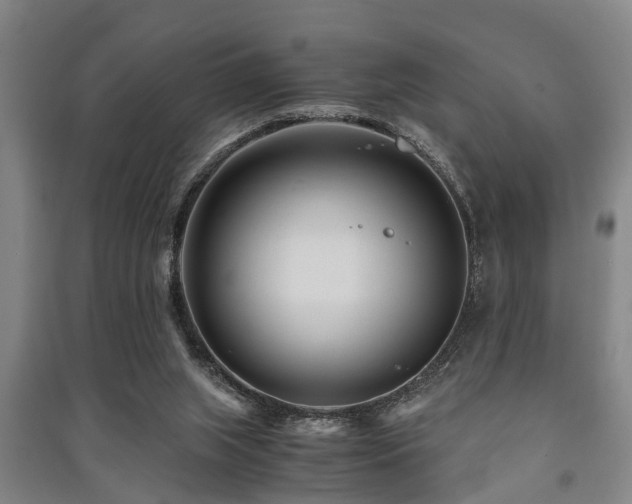 X0000091450063200708161306
