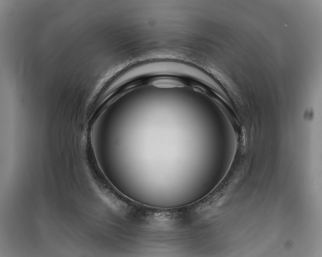 X0000091450064200708161306