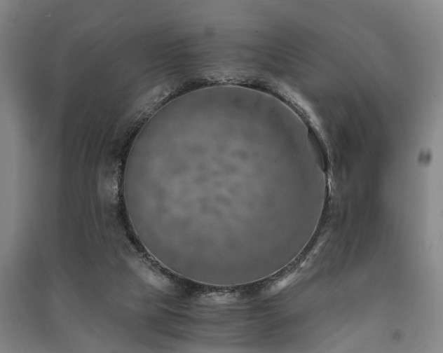 X0000091450065200708161306