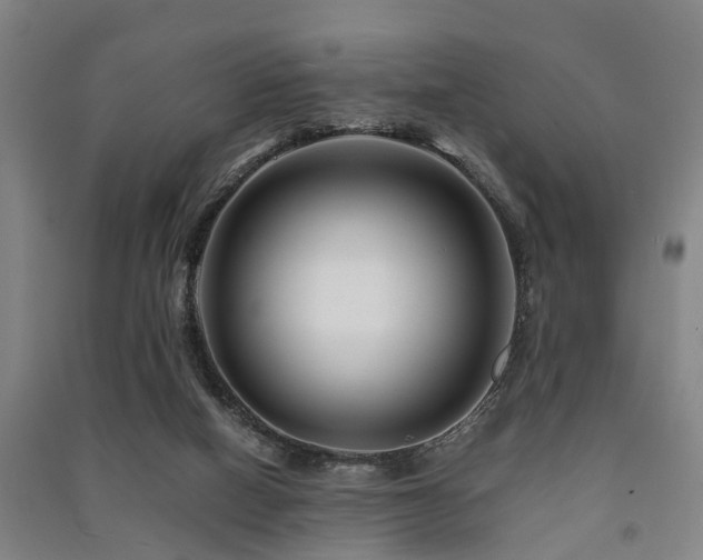 X0000091450066200708161306