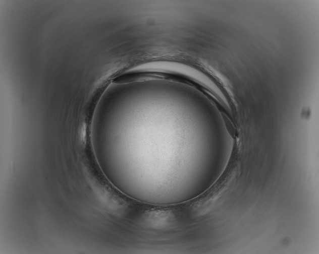 X0000091450067200708161306