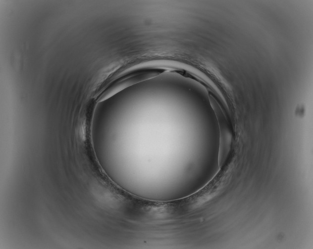 X0000091450068200708161306