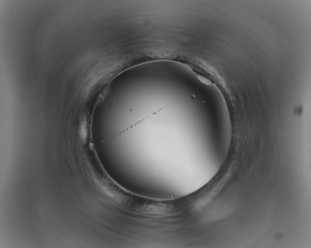 X0000091450069200708161306