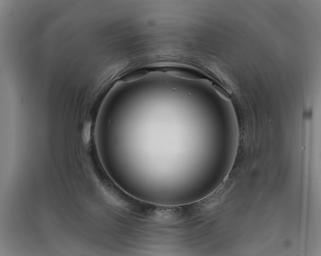 X0000091450070200708161306