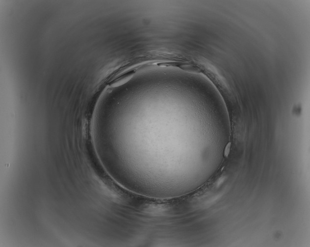 X0000091450071200708161306