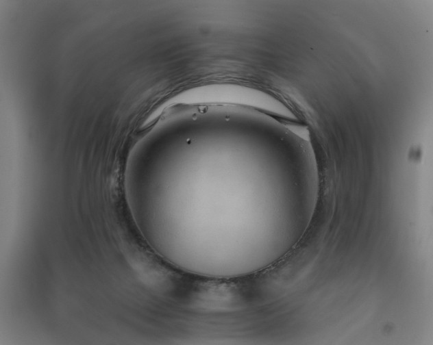 X0000091450073200708161306