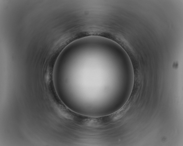 X0000091450074200708161306