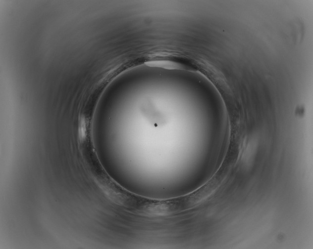 X0000091450075200708161306