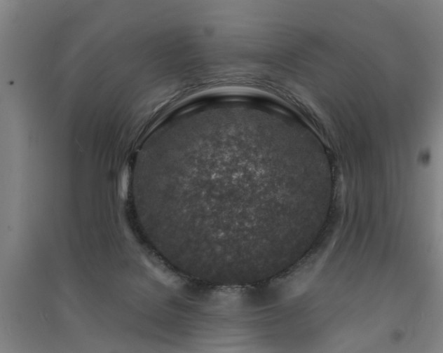 X0000091450076200708161306