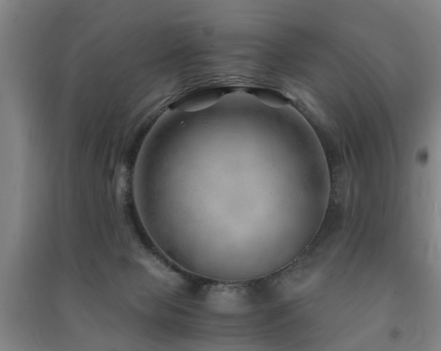 X0000091450077200708161306