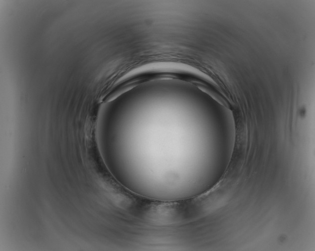 X0000091450078200708161306