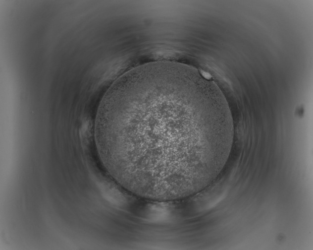 X0000091450079200708161306