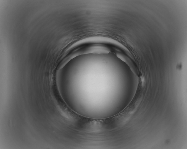 X0000091450080200708161306