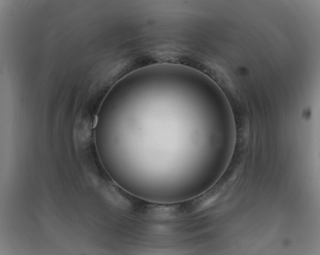 X0000091450081200708161306