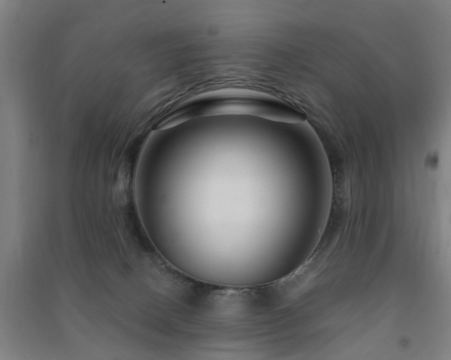 X0000091450082200708161306