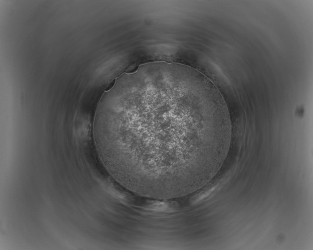 X0000091450083200708161307