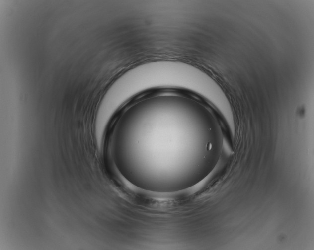 X0000091450084200708161307