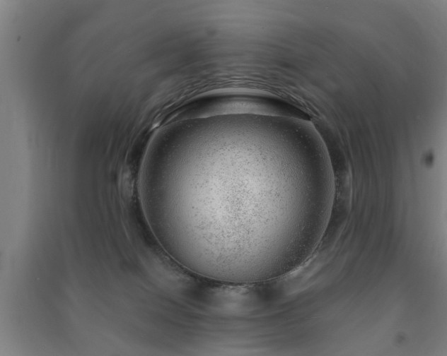 X0000091450086200708161307
