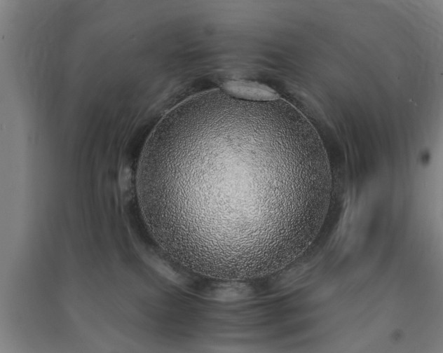 X0000091450087200708161307