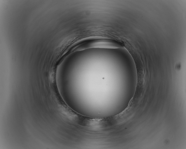 X0000091450090200708161307