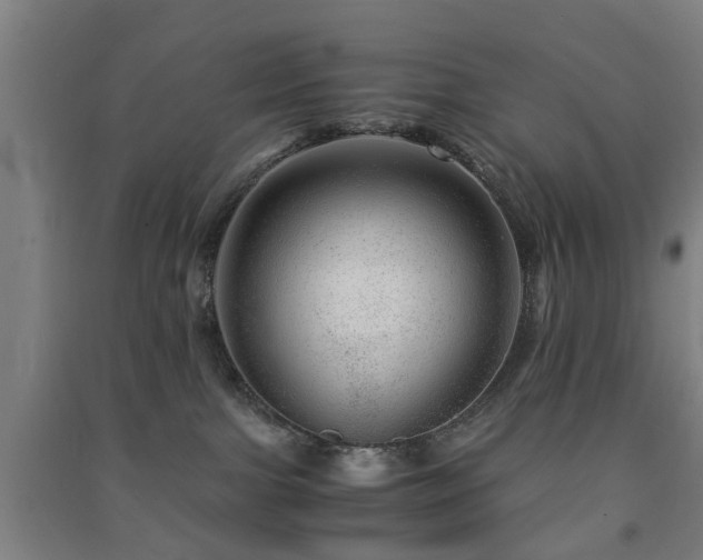 X0000091450091200708161307