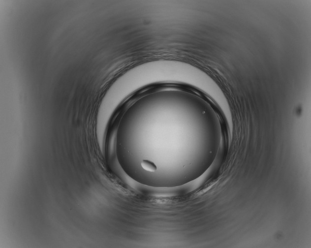 X0000091450092200708161307