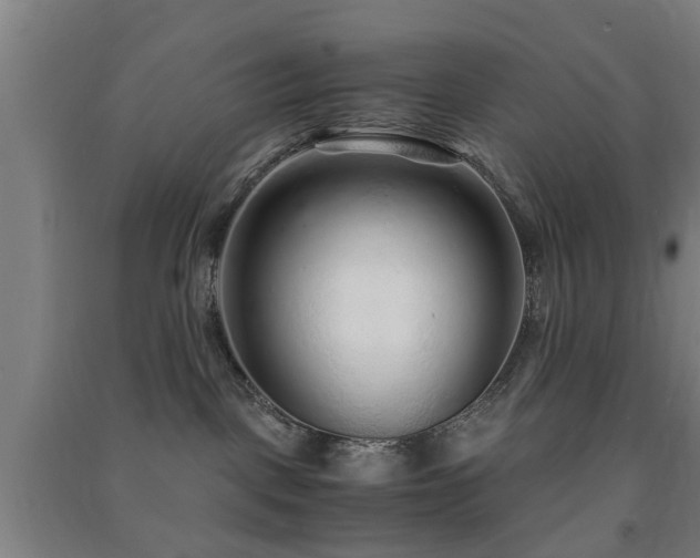X0000091450093200708161307