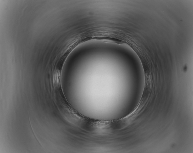 X0000091450094200708161307