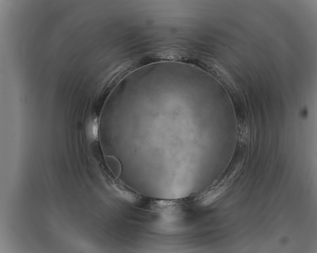 X0000091450095200708161307