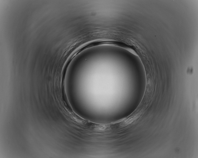 X0000091450096200708161307