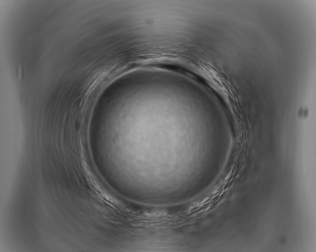 X0000091450097200708161306