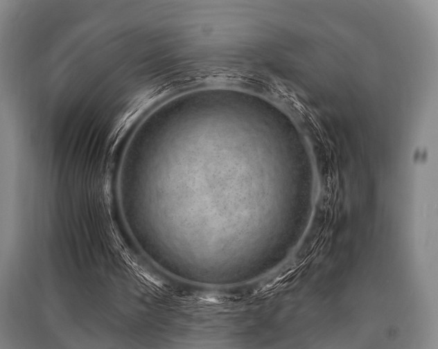 X0000091450098200708161306