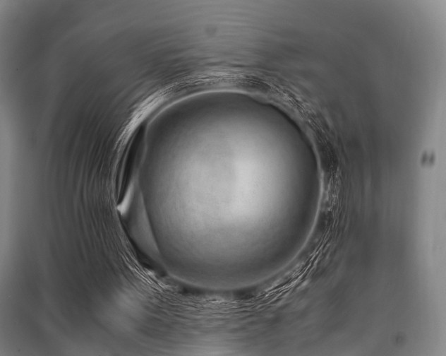 X0000091450099200708161306