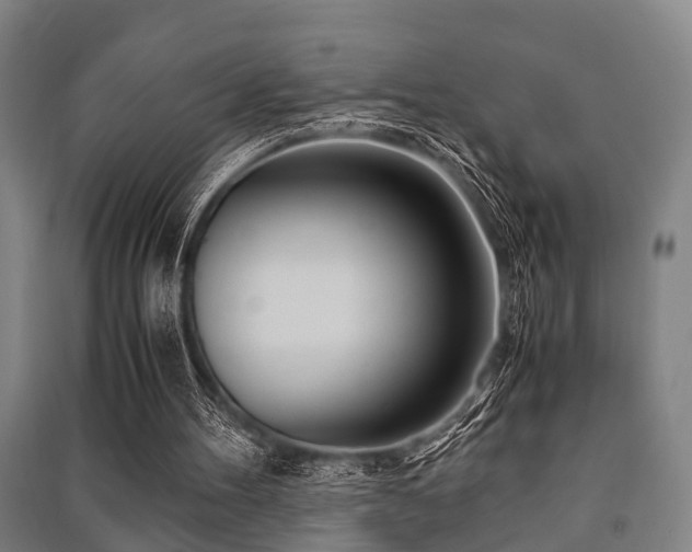 X0000091450100200708161306