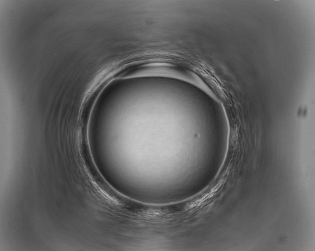 X0000091450101200708161306