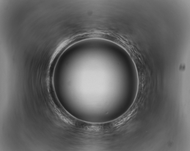 X0000091450102200708161306
