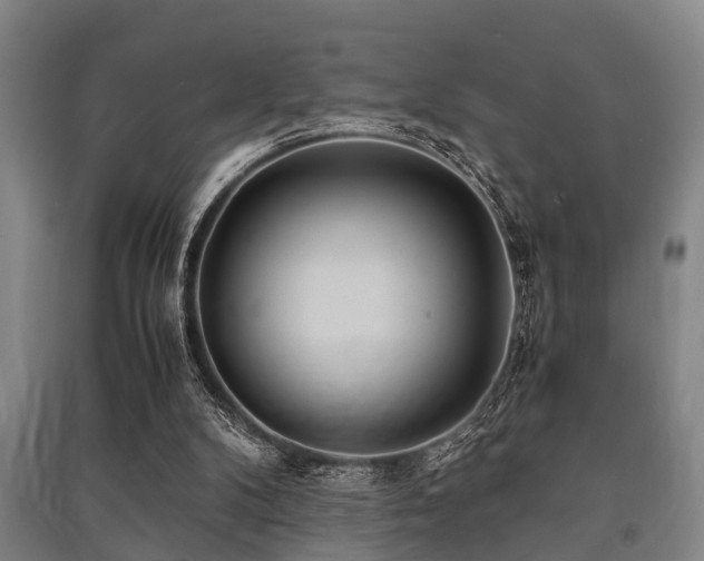 X0000091450104200708161306