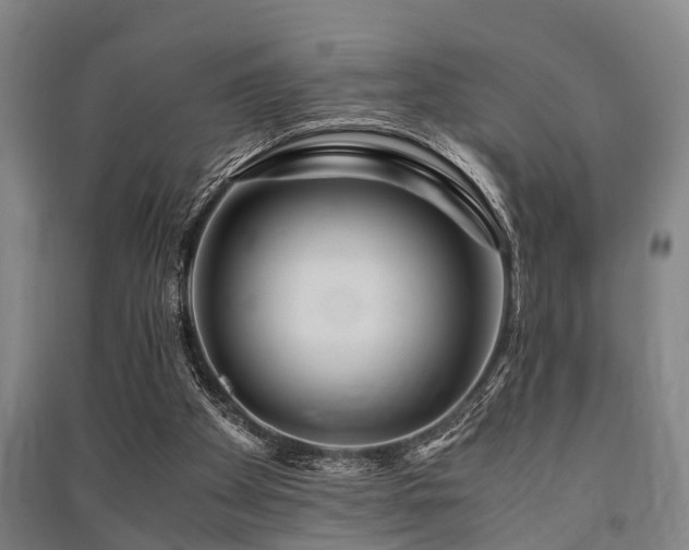 X0000091450105200708161306