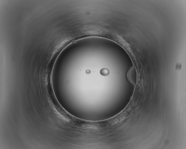 X0000091450106200708161306