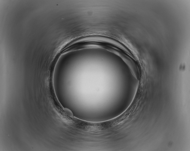 X0000091450107200708161306