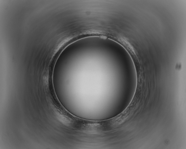 X0000091450108200708161306